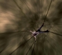 SPN_1319.jpg