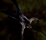 SPN_1321.jpg