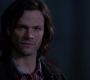 SPN_1376.jpg