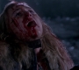 SPN_1459.jpg