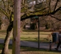 SPN_0941.jpg