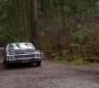SPN_0944.jpg