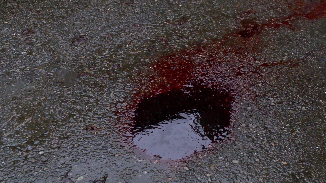 SPN_1231.jpg