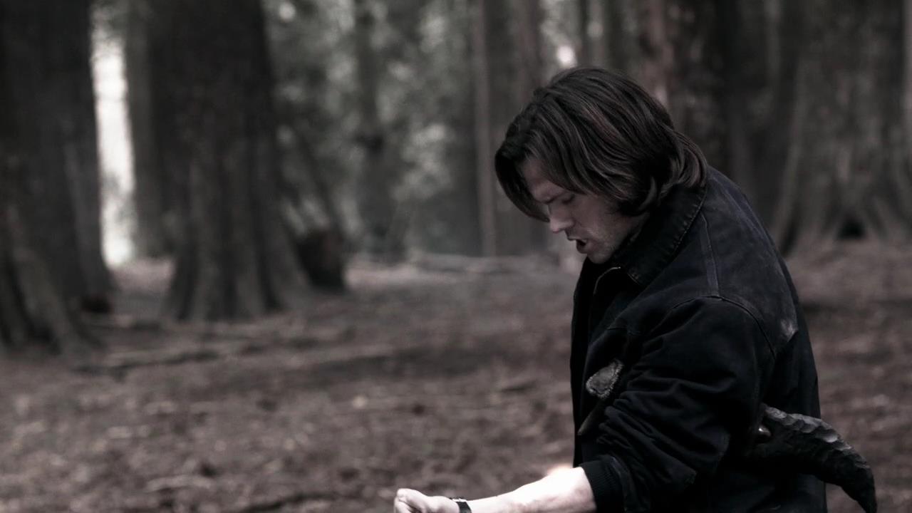 SPN_1301.jpg