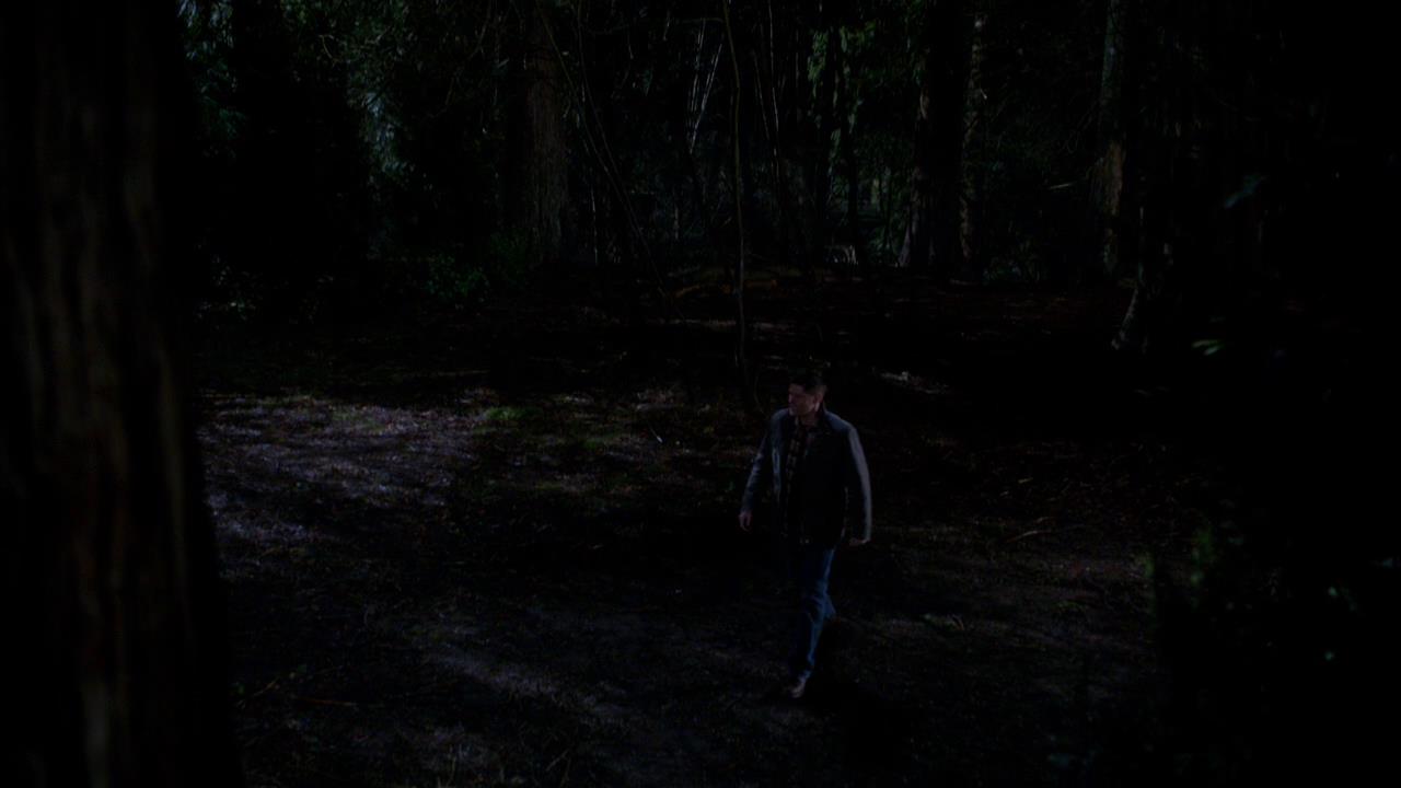 SPN_1353.jpg