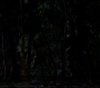 SPN_1364.jpg