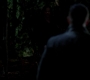 SPN_1368.jpg