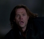 SPN_1501.jpg