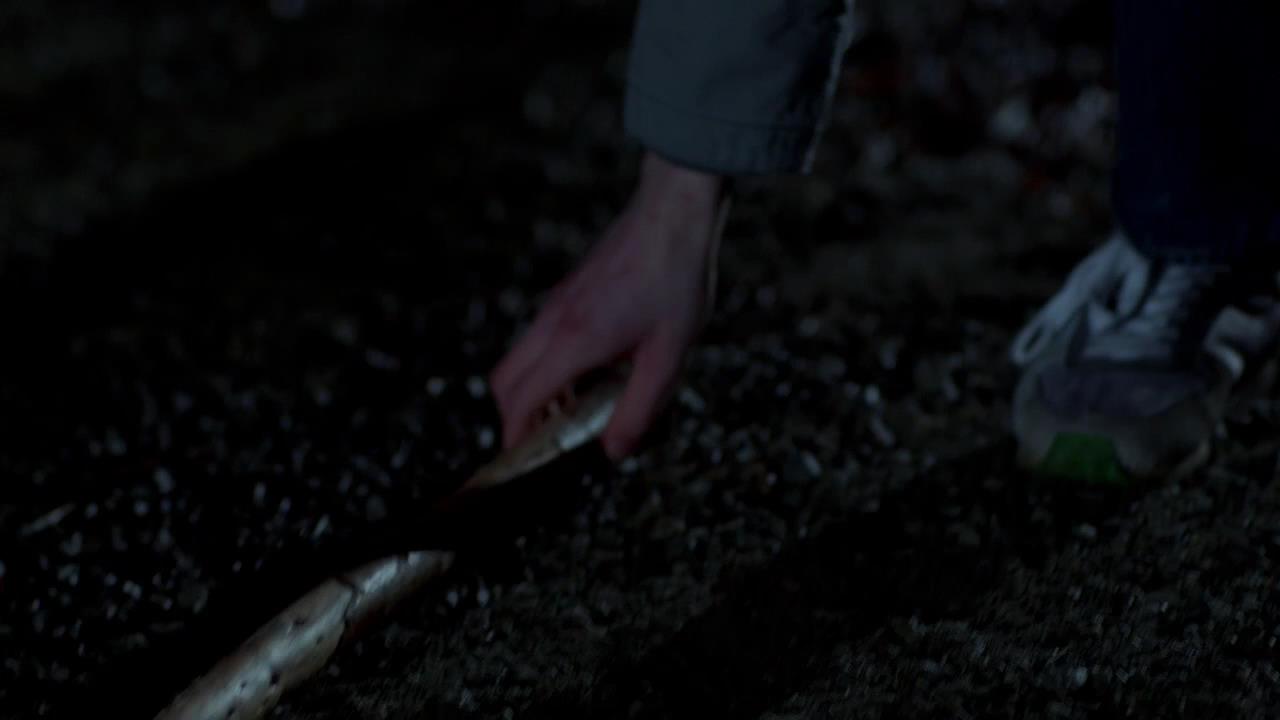 SPN_0562.jpg