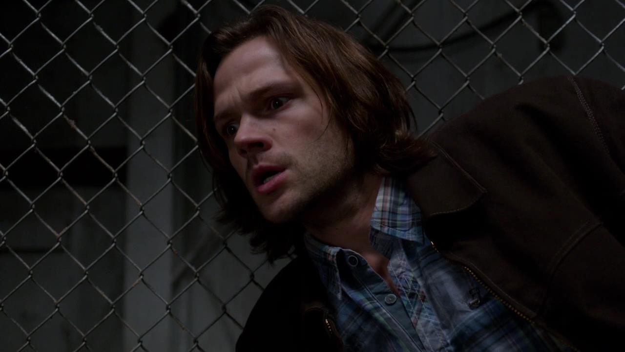 SPN_1102.jpg
