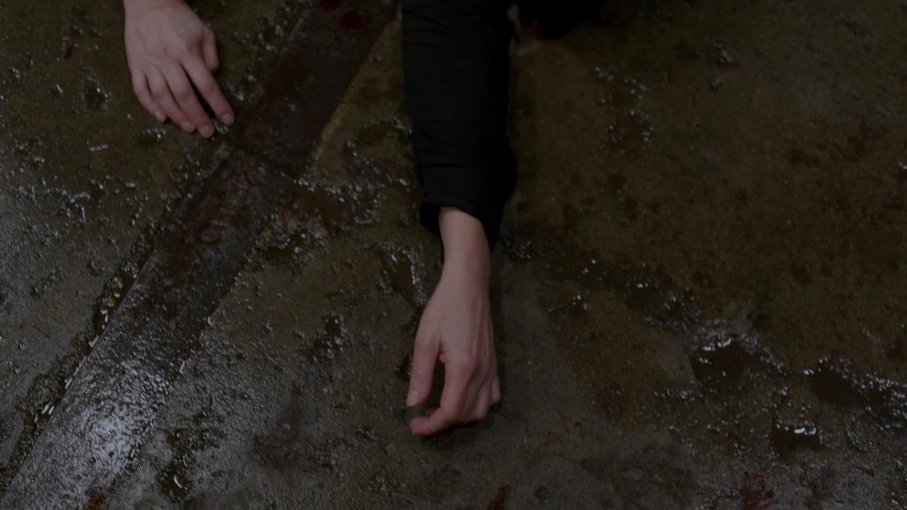 SPN_1256.jpg