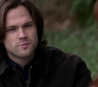 Filename=SPN_0253.jpg
Filesize=52KiB
Dimensions=1280x720
Date added=Sep 30, 2021 SPN_0253.jpg