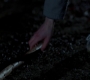 SPN_0562.jpg