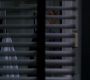 Filename=SPN_0695.jpg
Filesize=47KiB
Dimensions=1280x720
Date added=Sep 30, 2021 SPN_0695.jpg