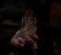 SPN_1136.jpg