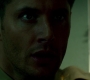 SPN_1187.jpg
