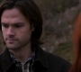 Filename=SPN_1536.jpg
Filesize=46KiB
Dimensions=1280x720
Date added=Sep 30, 2021 SPN_1536.jpg