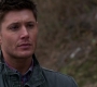 Filename=SPN_1557.jpg
Filesize=55KiB
Dimensions=1280x720
Date added=Sep 30, 2021 SPN_1557.jpg