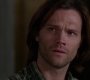 SPN_0301.jpg