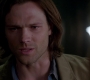 Filename=SPN_0979.jpg
Filesize=42KiB
Dimensions=1280x720
Date added=Sep 30, 2021 SPN_0979.jpg