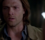 Filename=SPN_0981.jpg
Filesize=40KiB
Dimensions=1280x720
Date added=Sep 30, 2021 SPN_0981.jpg