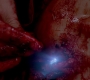 SPN_1100.jpg