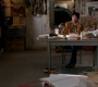 SPN_1105.jpg