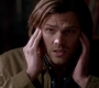 SPN_1137.jpg