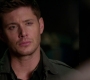 Filename=SPN_1358.jpg
Filesize=41KiB
Dimensions=1280x720
Date added=Sep 30, 2021 SPN_1358.jpg