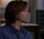 SPN_0146.jpg