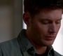 SPN_0184.jpg
