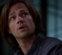 SPN_0187.jpg