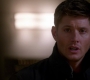 SPN_0203.jpg