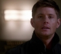 SPN_0212.jpg