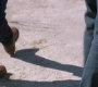 SPN_0271.jpg