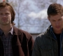 SPN_0304.jpg