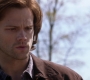 SPN_0409.jpg