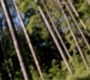 SPN_0276.jpg