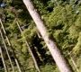 SPN_0277.jpg
