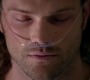 SPN_0331.jpg