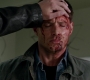 SPN_1264.jpg