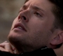 Filename=SPN_1241.jpg
Filesize=52KiB
Dimensions=1280x720
Date added=Sep 30, 2021 SPN_1241.jpg