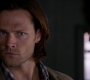 Filename=SPN_1369.jpg
Filesize=45KiB
Dimensions=1280x720
Date added=Sep 30, 2021 SPN_1369.jpg
