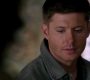 Filename=SPN_1372.jpg
Filesize=45KiB
Dimensions=1280x720
Date added=Sep 30, 2021 SPN_1372.jpg