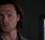 Filename=SPN_1373.jpg
Filesize=45KiB
Dimensions=1280x720
Date added=Sep 30, 2021 SPN_1373.jpg