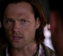 Filename=SPN_1383.jpg
Filesize=44KiB
Dimensions=1280x720
Date added=Sep 30, 2021 SPN_1383.jpg