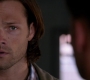 Filename=SPN_1385.jpg
Filesize=45KiB
Dimensions=1280x720
Date added=Sep 30, 2021 SPN_1385.jpg