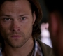 Filename=SPN_1387.jpg
Filesize=48KiB
Dimensions=1280x720
Date added=Sep 30, 2021 SPN_1387.jpg