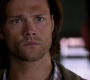 Filename=SPN_1400.jpg
Filesize=52KiB
Dimensions=1280x720
Date added=Sep 30, 2021 SPN_1400.jpg
