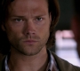 Filename=SPN_1402.jpg
Filesize=49KiB
Dimensions=1280x720
Date added=Sep 30, 2021 SPN_1402.jpg